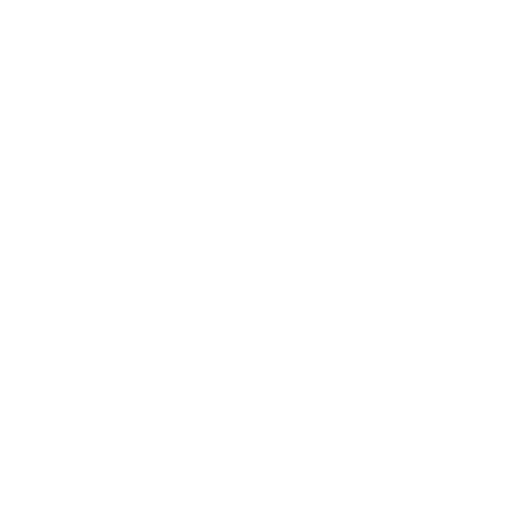 Arm Circles starting position