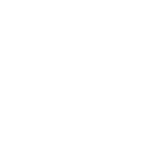 Assault Bike starting position