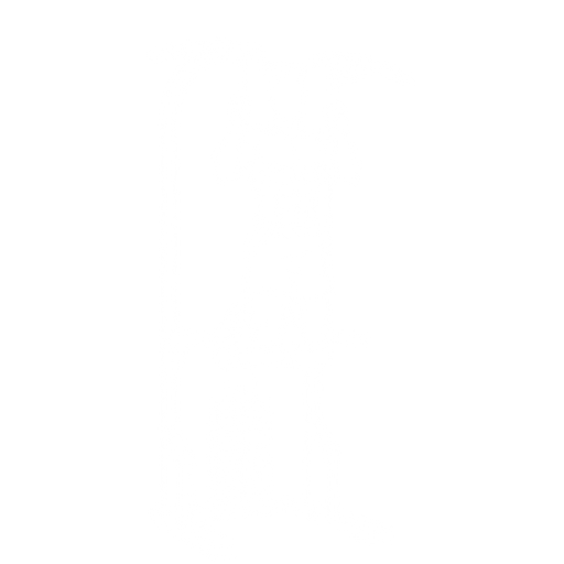 Assisted Chin-up starting position