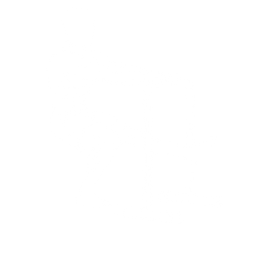 Assisted Pistol Squat starting position