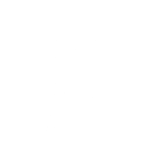 Banded Lateral Walk starting position
