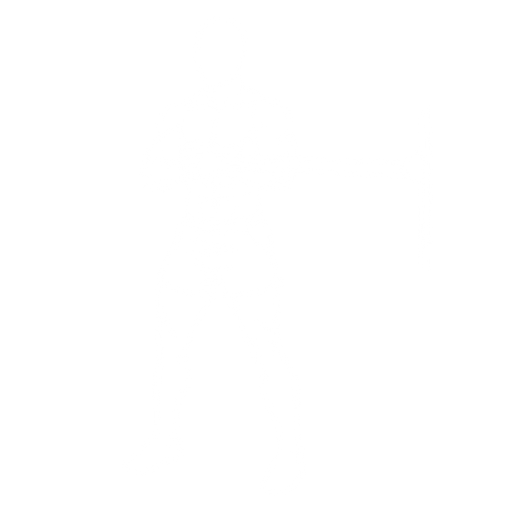 Banded Pallof Press starting position