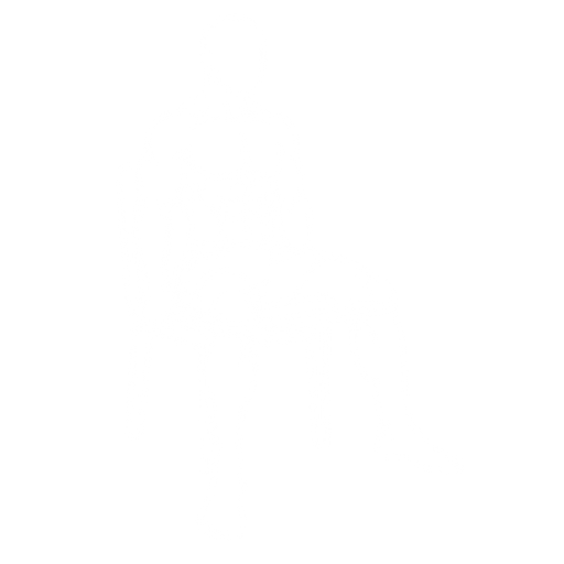 Banded Seated Hip Abduction starting position
