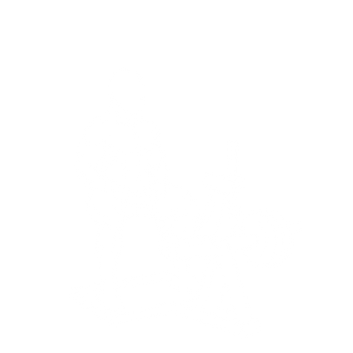 Belt Squat starting position