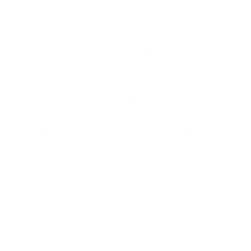 Bent-Over Rear Delt Raise starting position