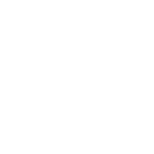 Burpee starting position