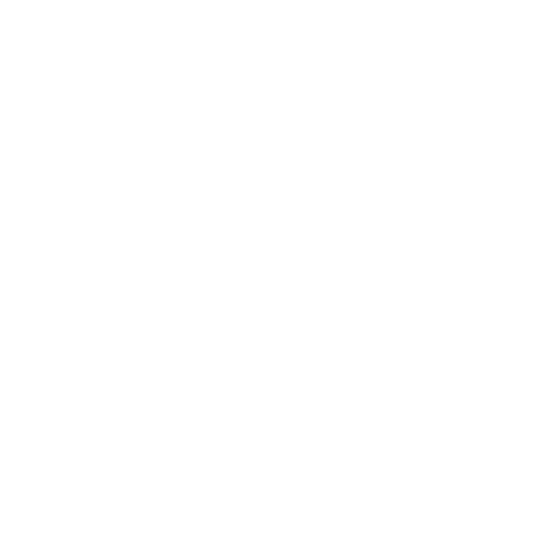 Cable Lateral Raise starting position