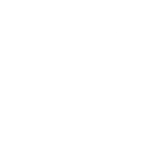 Cable Pallof Hold starting position