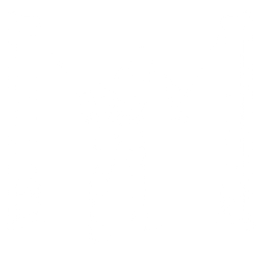 Cable Rear Delt Fly starting position