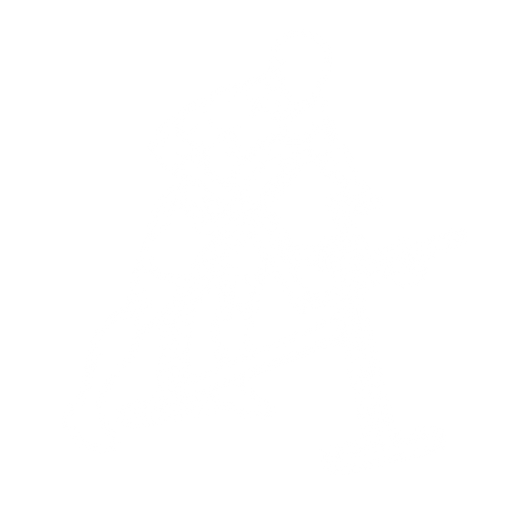 Chest Supported Row starting position