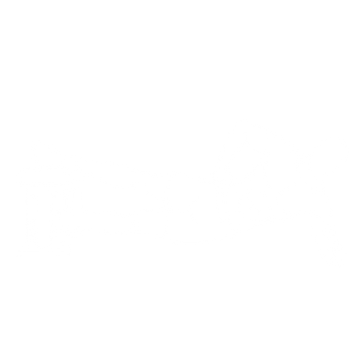 Copenhagen Plank starting position