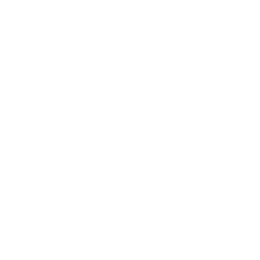 Curtsy Lunge starting position