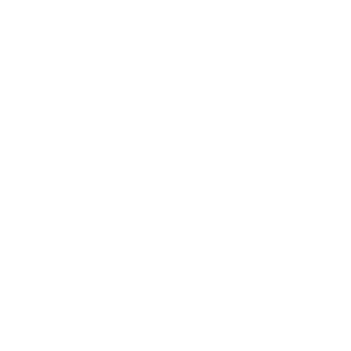 Decline Push-up starting position