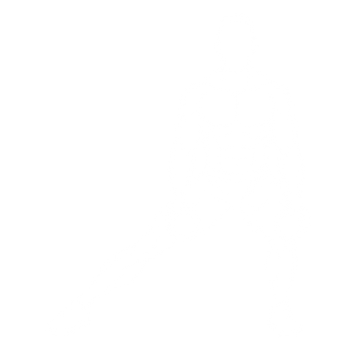Dumbbell Lateral Lunge starting position