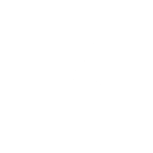 Dumbbell Side Bend starting position