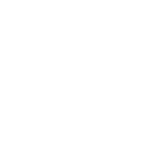 Dumbbell Sumo Deadlift starting position