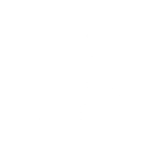 Dumbbell Sumo Squat starting position