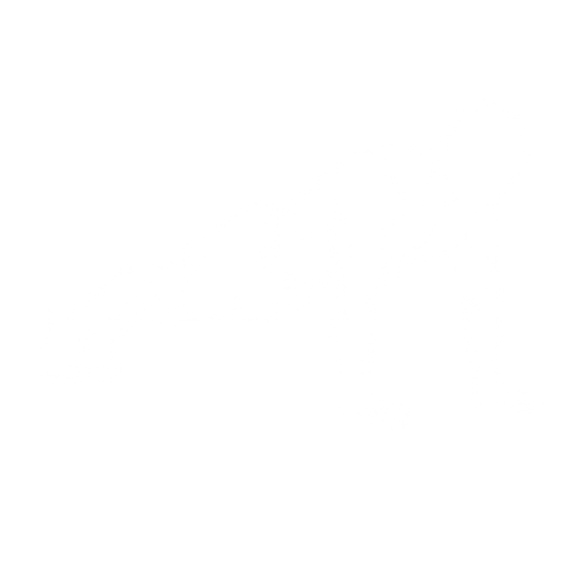 Explosive Push-up starting position