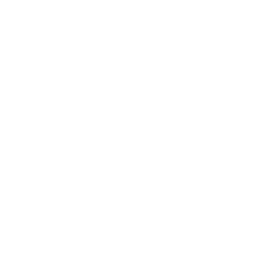 Face Pull starting position