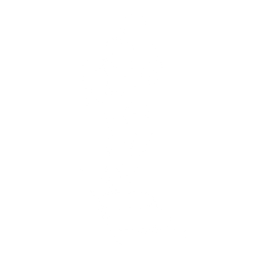Fast Feet starting position