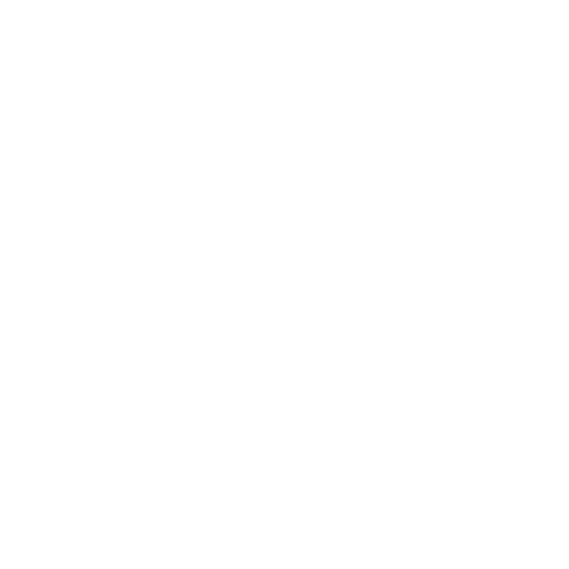 Feet-Elevated Pike Push-up starting position