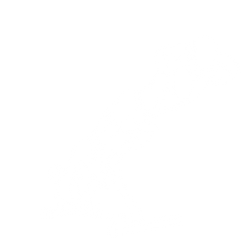 Glute-Focused Back Extension starting position