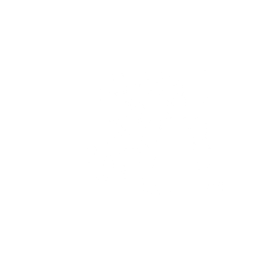 Half Burpee starting position