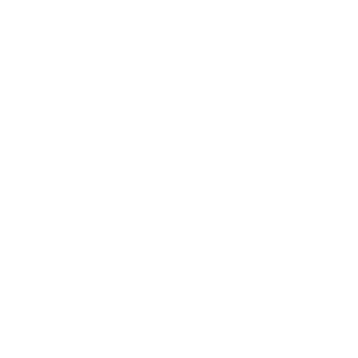 Half-Kneeling Pallof Press starting position