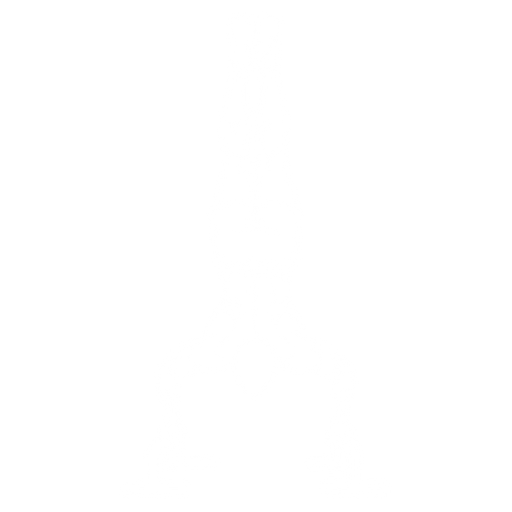 Handstand Push-up starting position