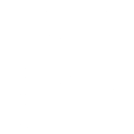 Hanging Knee Raise starting position