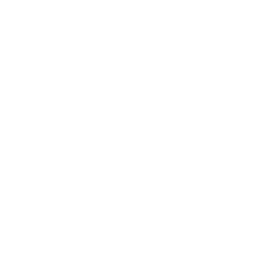 Hanging Leg Raise starting position