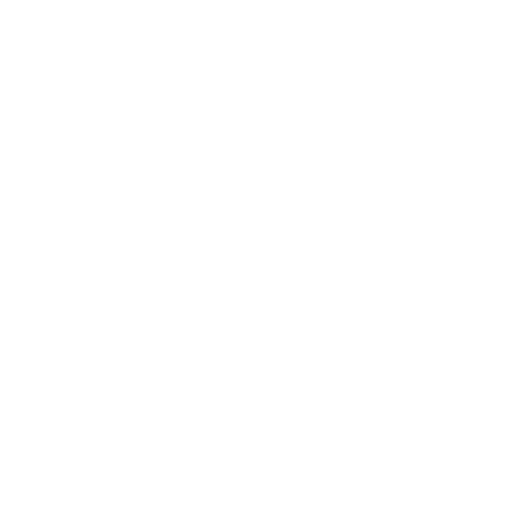 Heel-Elevated Goblet Squat starting position
