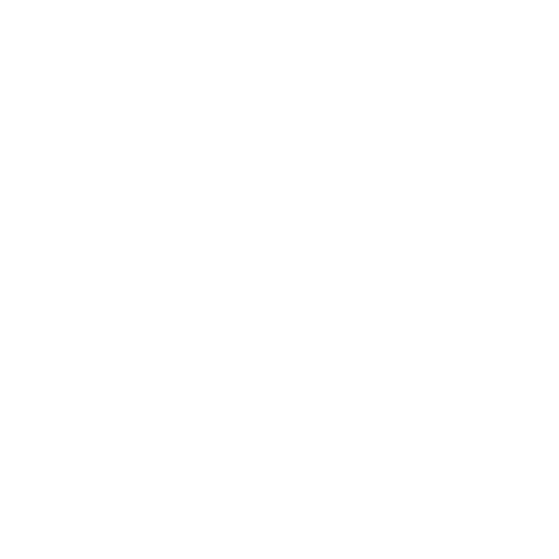 High Knees starting position