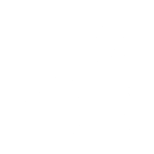 Hip Airplane starting position