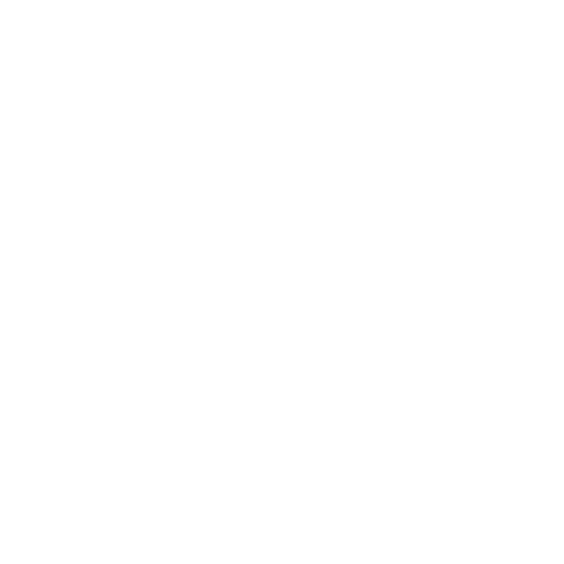 Hip Thrust starting position