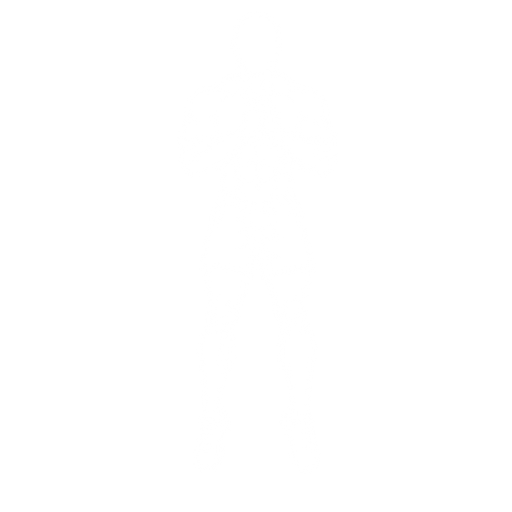 Jump Squat starting position