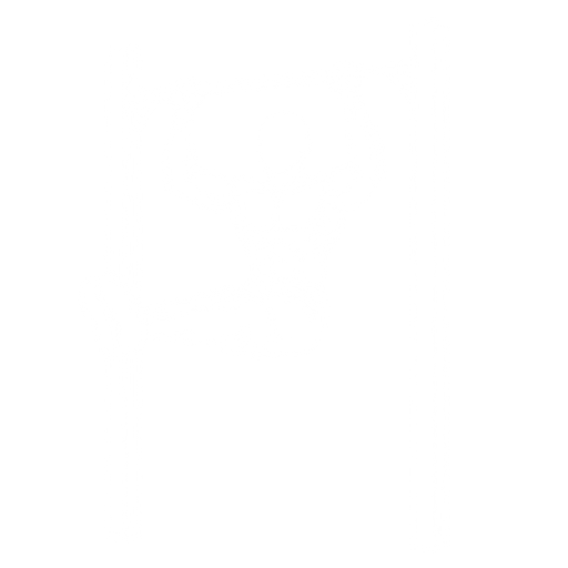 L-Sit Pull-up starting position