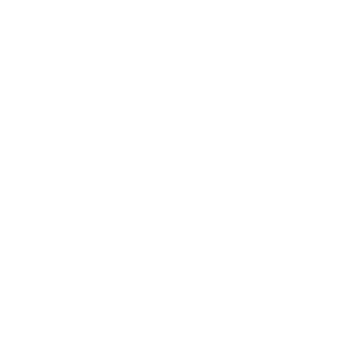 Landmine Squat starting position