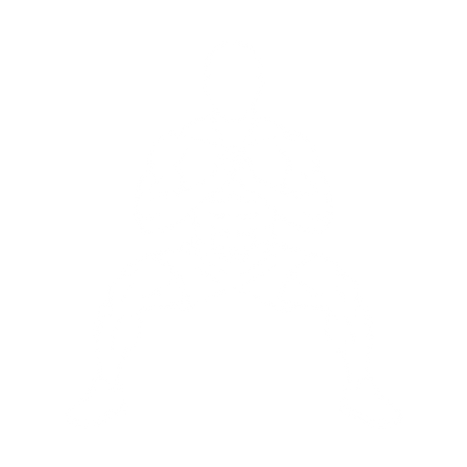 Lateral Lunge starting position