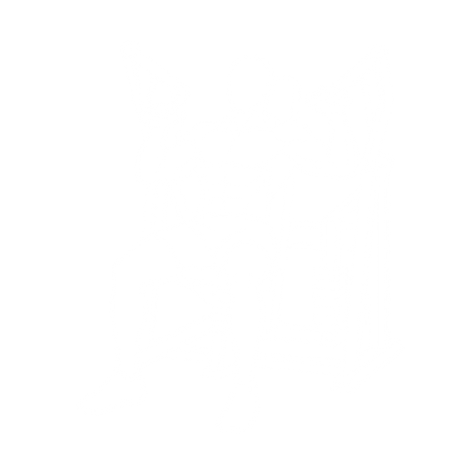 Machine Shoulder Press starting position