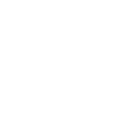 Mountain Climber starting position