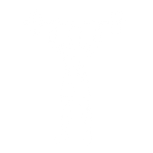 Overhead Press starting position