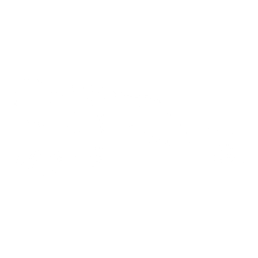 Plank starting position