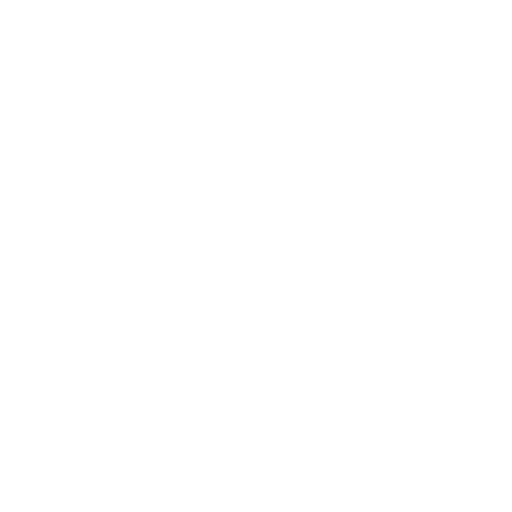 Plate Front Raise starting position