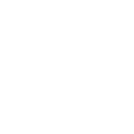 Prone Y Raise starting position