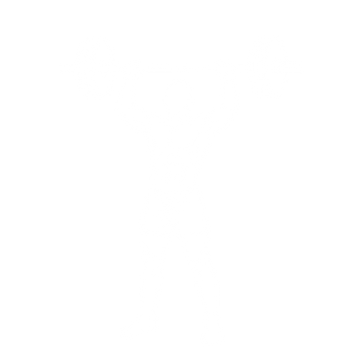 Push Press starting position