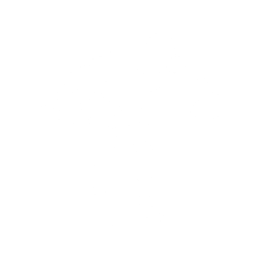 Rear Delt Fly starting position