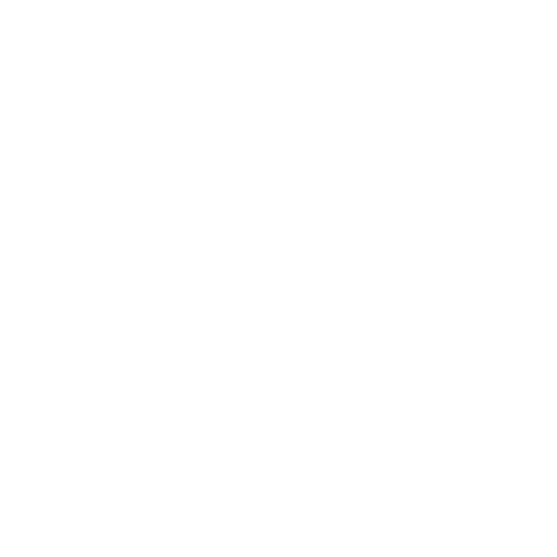 Reverse Hyperextension starting position