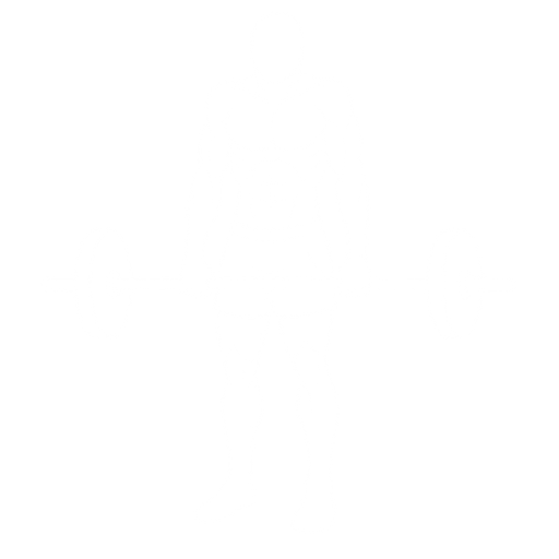 Barbell Shrug starting position