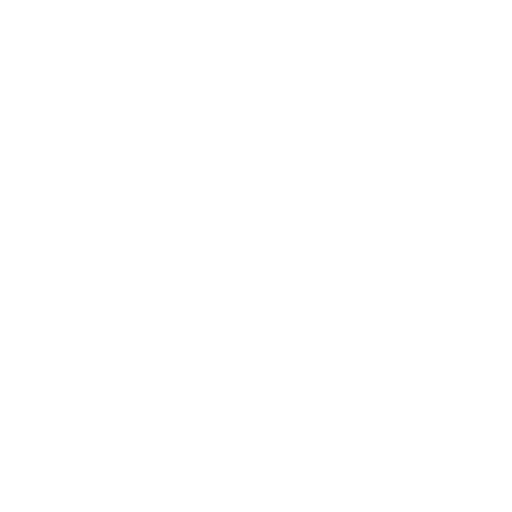 Single-Arm Cable Row starting position